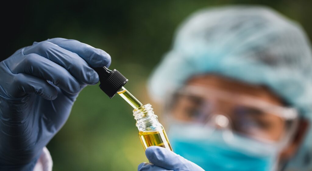 Michele Farran — Embrapa e a cannabis medicinal: um passo que pode mudar o setor