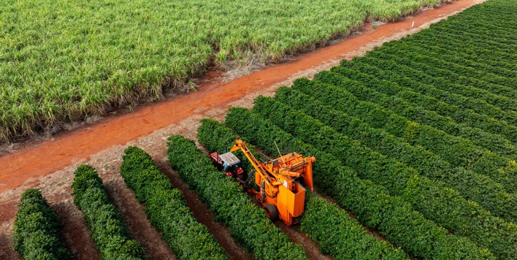 Hugo Centurion — Brasil chega a 2026 com setor agrícola ajustado à nova realidade econômica global e doméstica