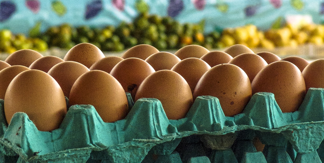 Foto: Alfribeiro/iStock
