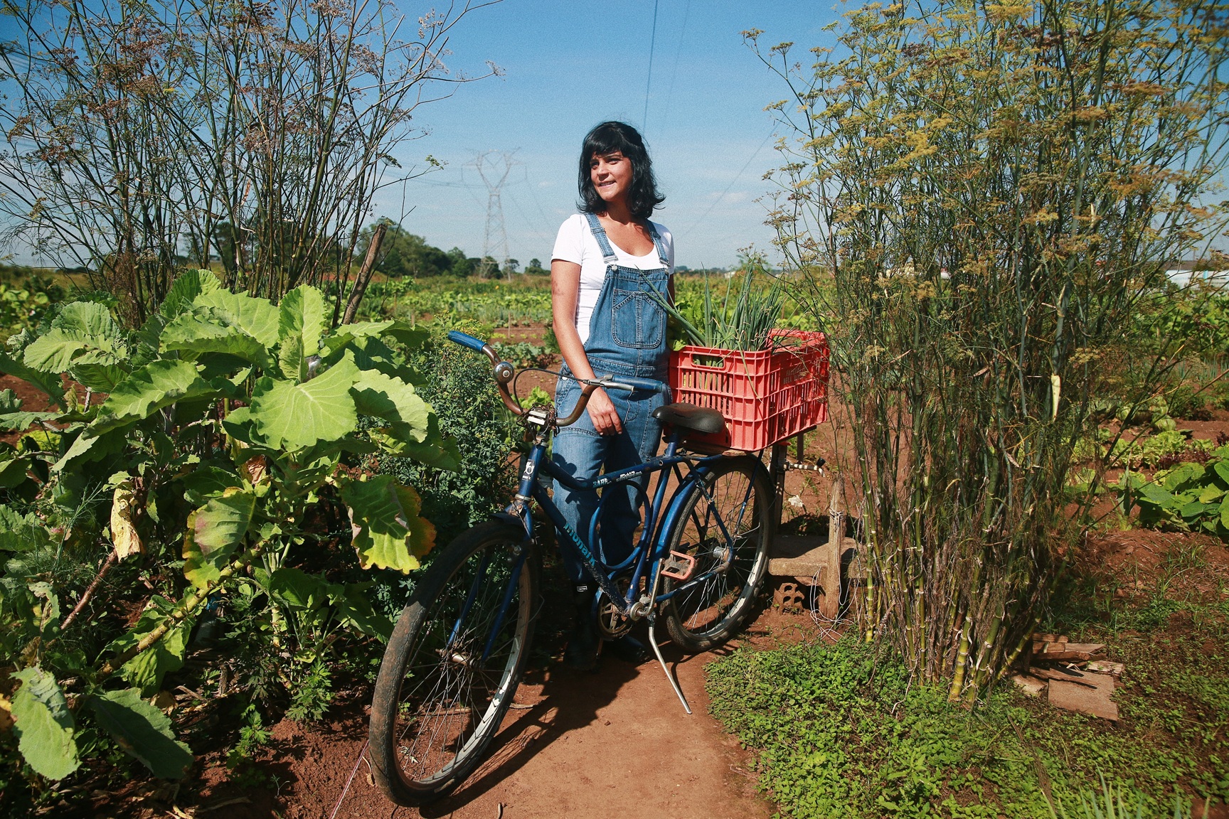 Do campo ao prato: como a alta gastronomia está ajudando a preservar a biodiversidade