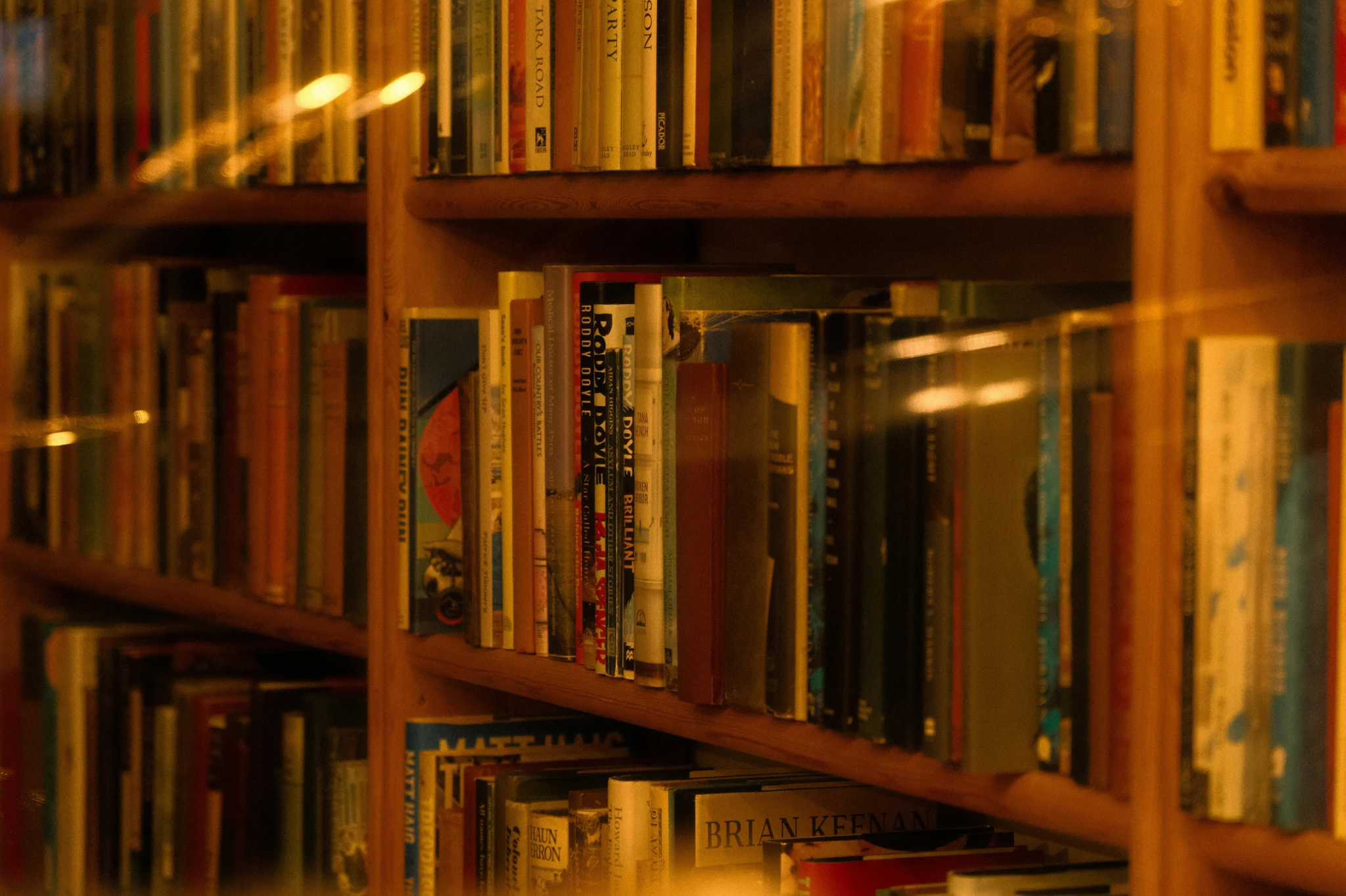 Dia Nacional do Livro: Shopping São José reúne opções de leitura e presentes para todas as idades